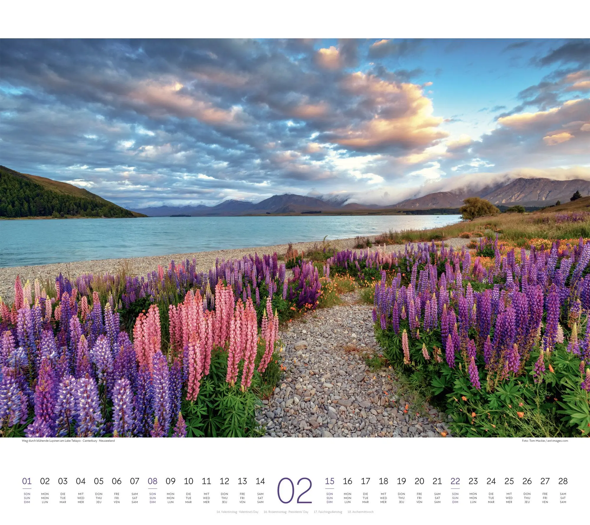 Bild: 9783838426341 | Wege Kalender 2026 | Ackermann Kunstverlag GmbH | Kalender | 14 S.