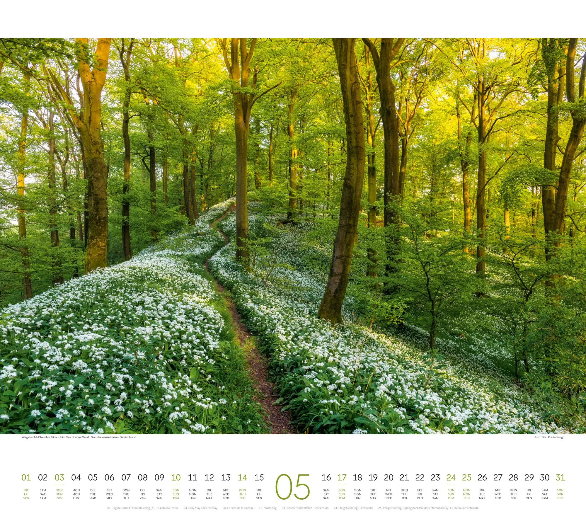 Bild: 9783838426341 | Wege Kalender 2026 | Ackermann Kunstverlag GmbH | Kalender | 14 S.