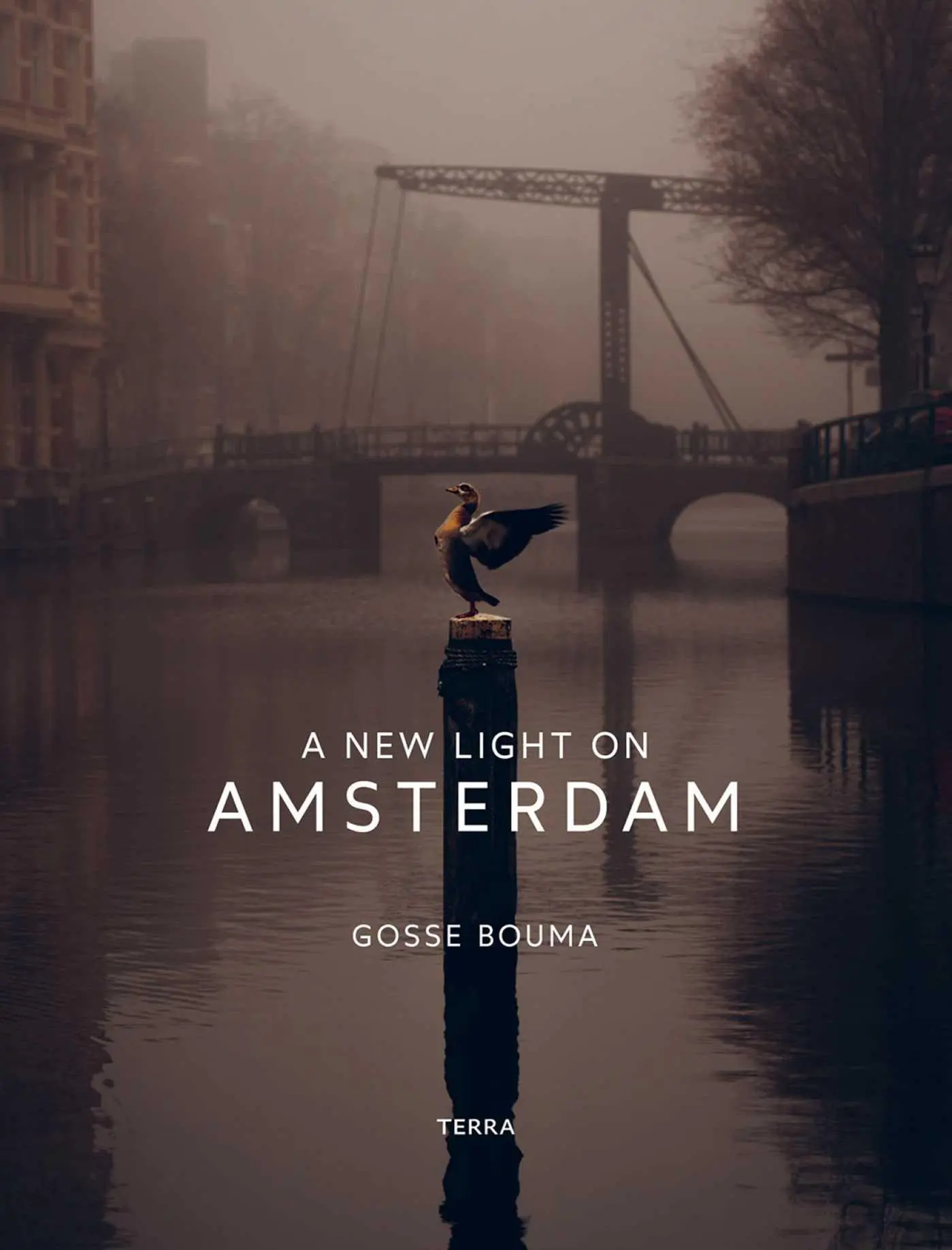 Cover: 9789401446341 | A New Light on Amsterdam | Gosse Bouma | Buch | Englisch | 2024