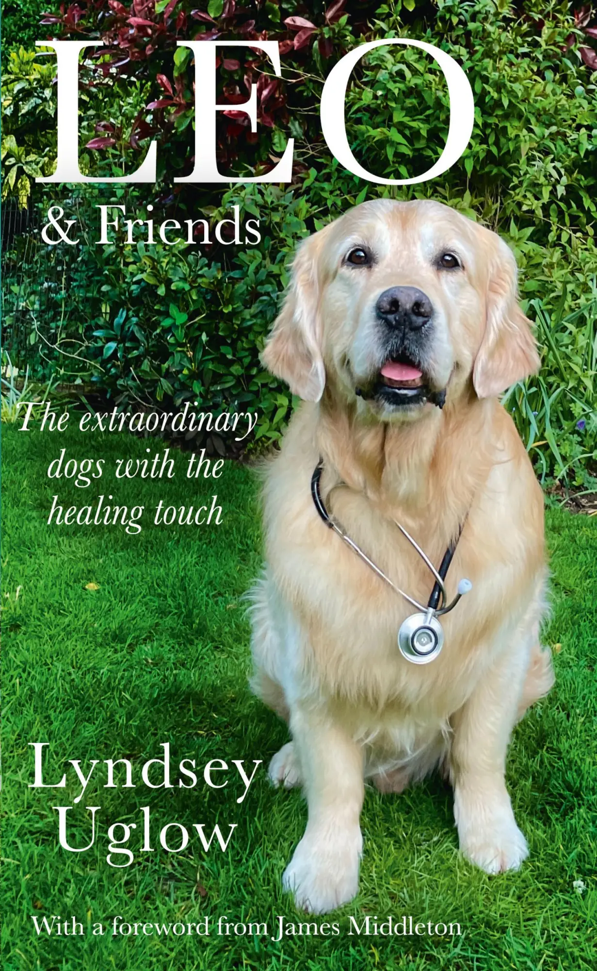 Cover: 9780008466541 | Leo &amp; Friends | The Dogs with a Healing Touch | Lyndsey Uglow | Buch