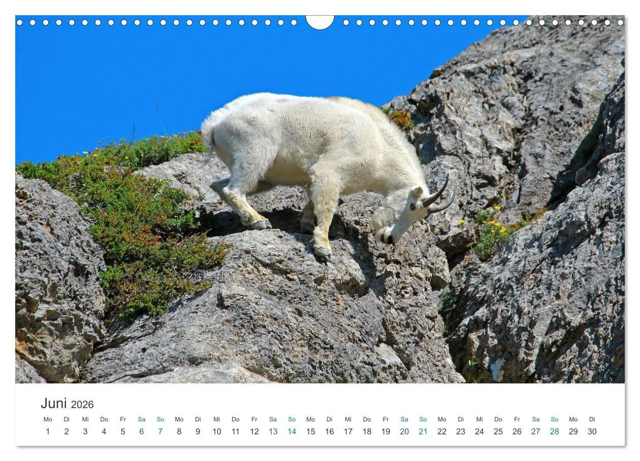 Bild: 9783457636541 | Icefields Parkway in Kanada (Wandkalender 2026 DIN A3 quer),...