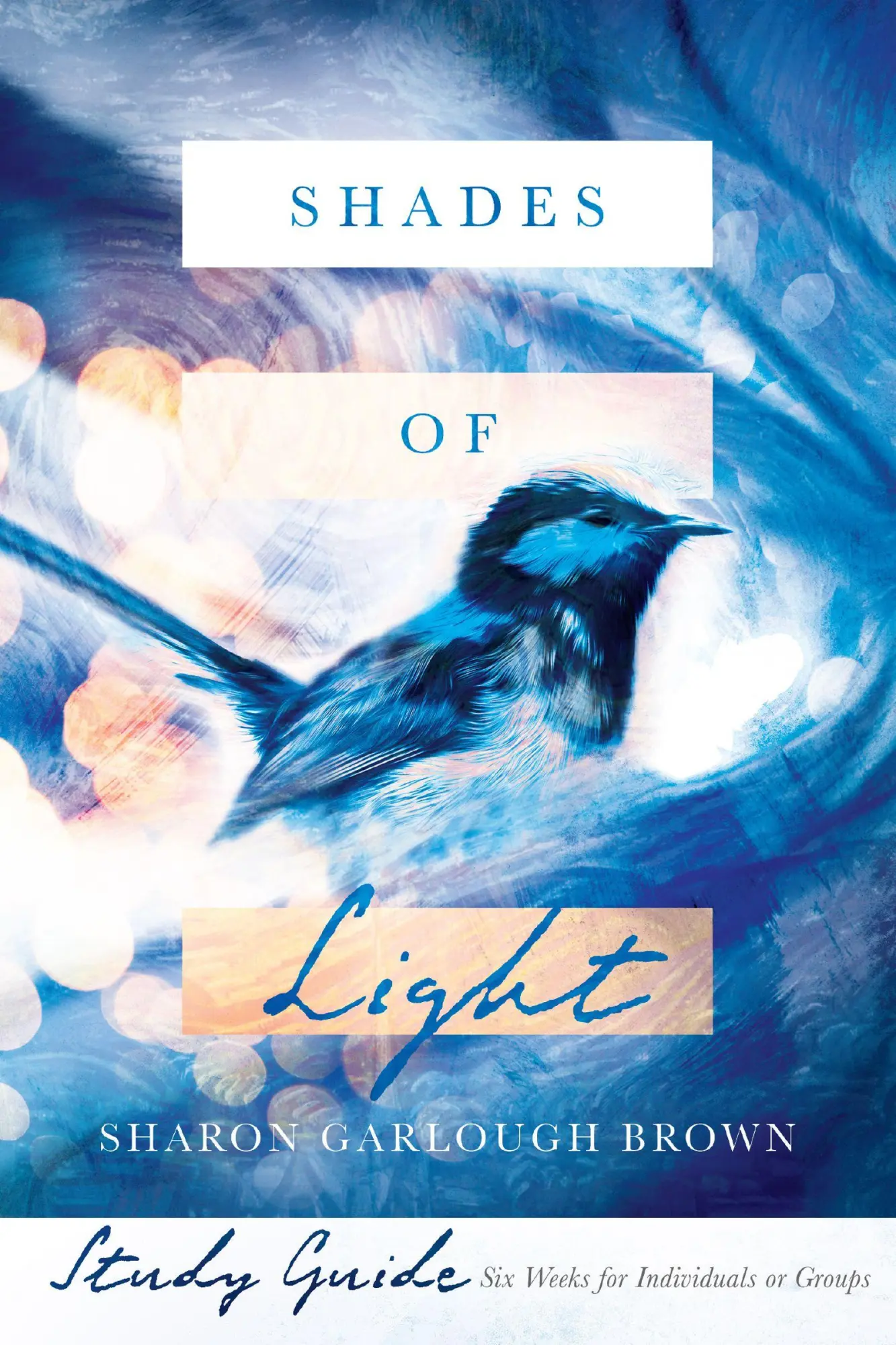 Cover: 9780830846641 | Shades of Light Study Guide | Sharon Garlough Brown | Taschenbuch