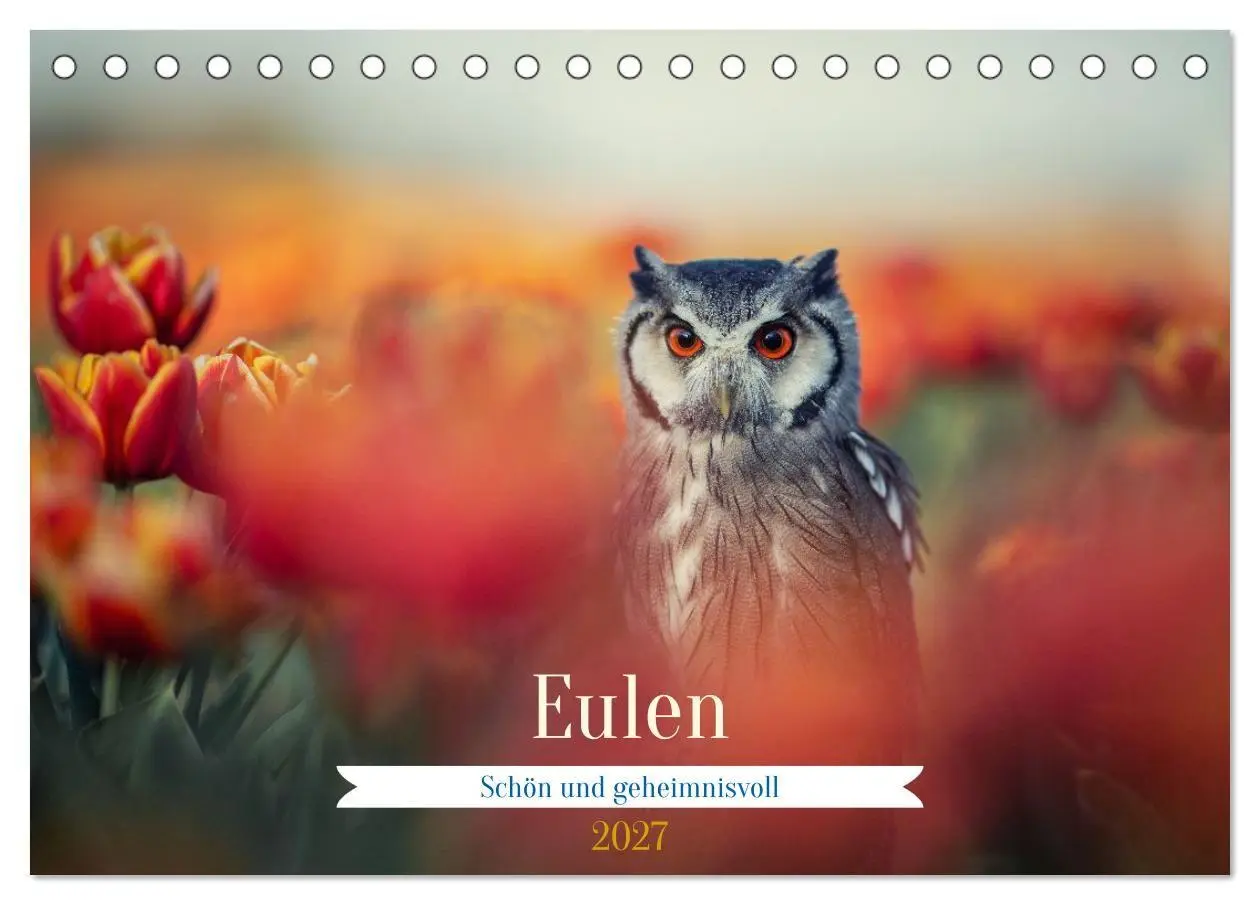 Cover: 9783516956641 | Eulen - schön und geheimnisvoll (Tischkalender 2027 DIN A5 quer),...