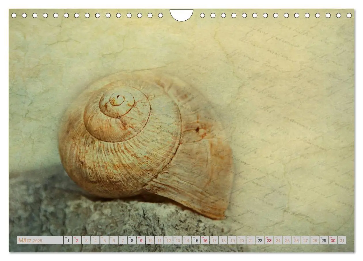 Bild: 9783435836741 | Momente der Stille (Wandkalender 2025 DIN A4 quer), CALVENDO...
