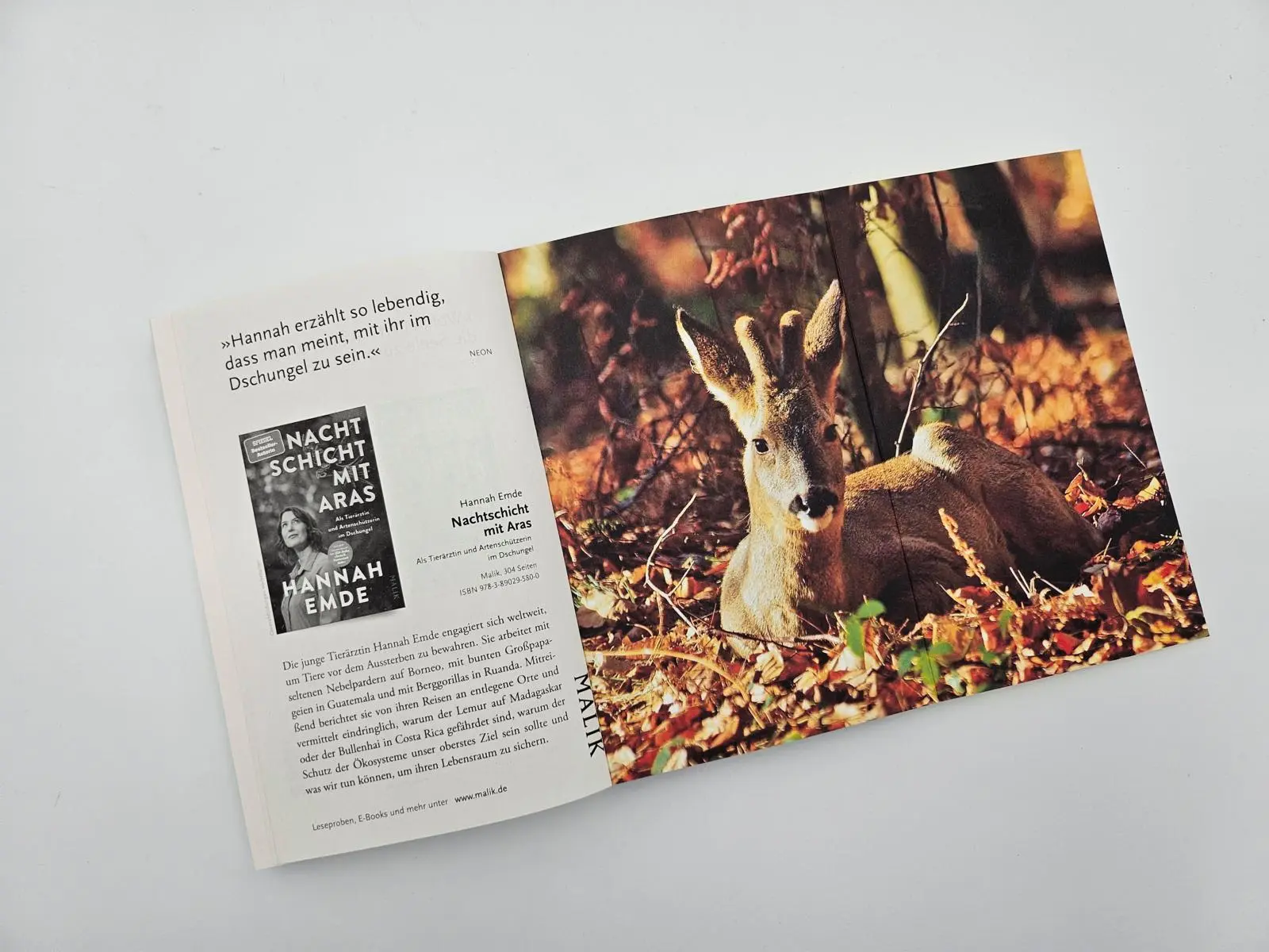 Bild: 9783492406741 | Leben unter Rehen | Geoffroy Delorme | Taschenbuch | 240 S. | Deutsch