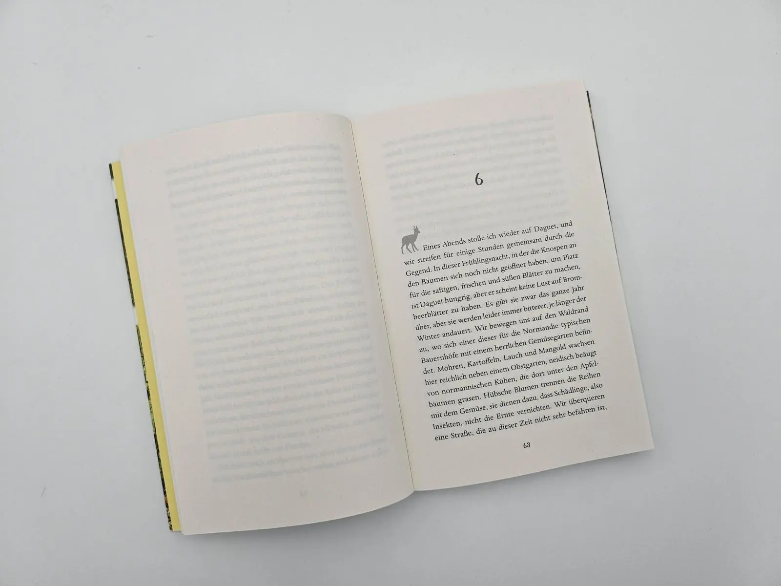 Bild: 9783492406741 | Leben unter Rehen | Geoffroy Delorme | Taschenbuch | 240 S. | Deutsch
