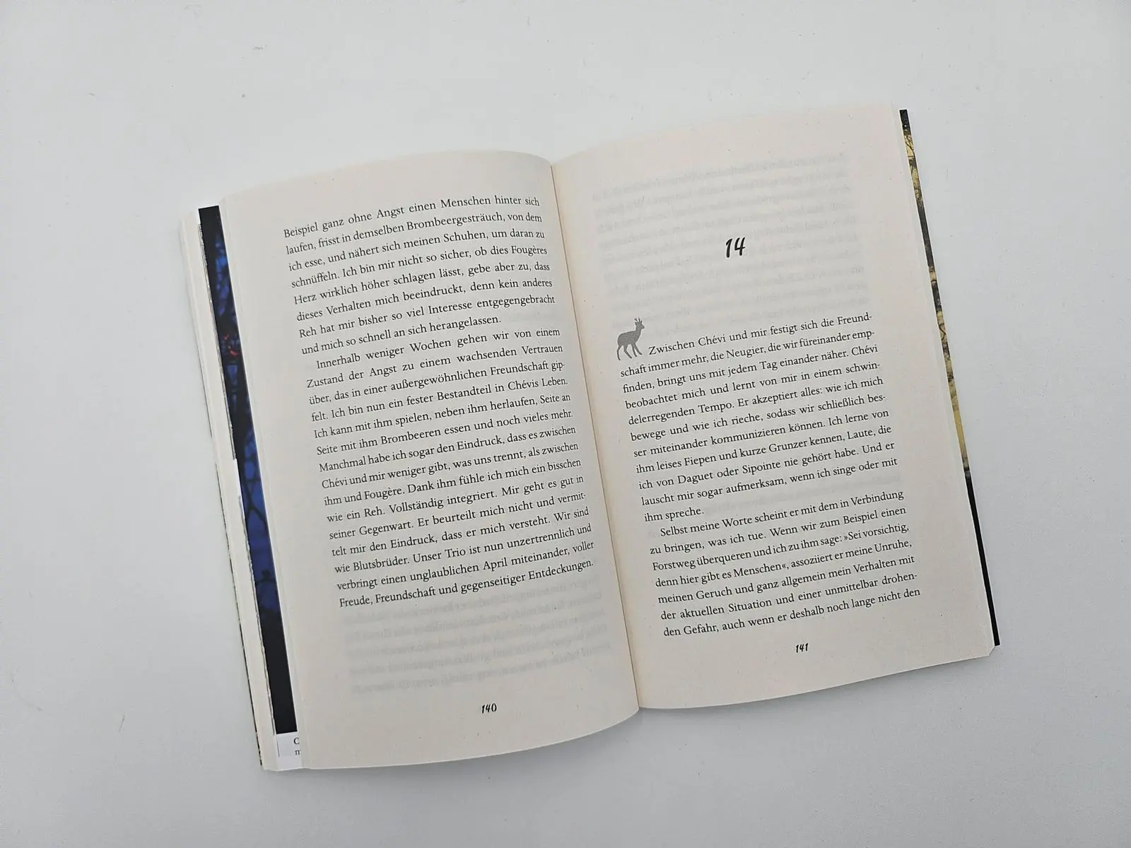 Bild: 9783492406741 | Leben unter Rehen | Geoffroy Delorme | Taschenbuch | 240 S. | Deutsch