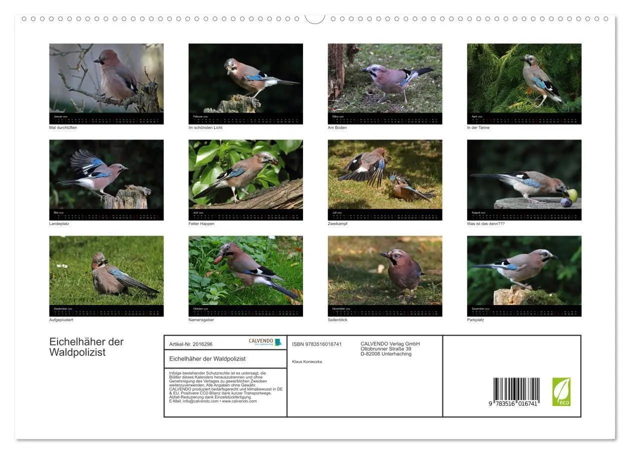 Bild: 9783516016741 | Eichelhäher der Waldpolizist (hochwertiger Premium Wandkalender...