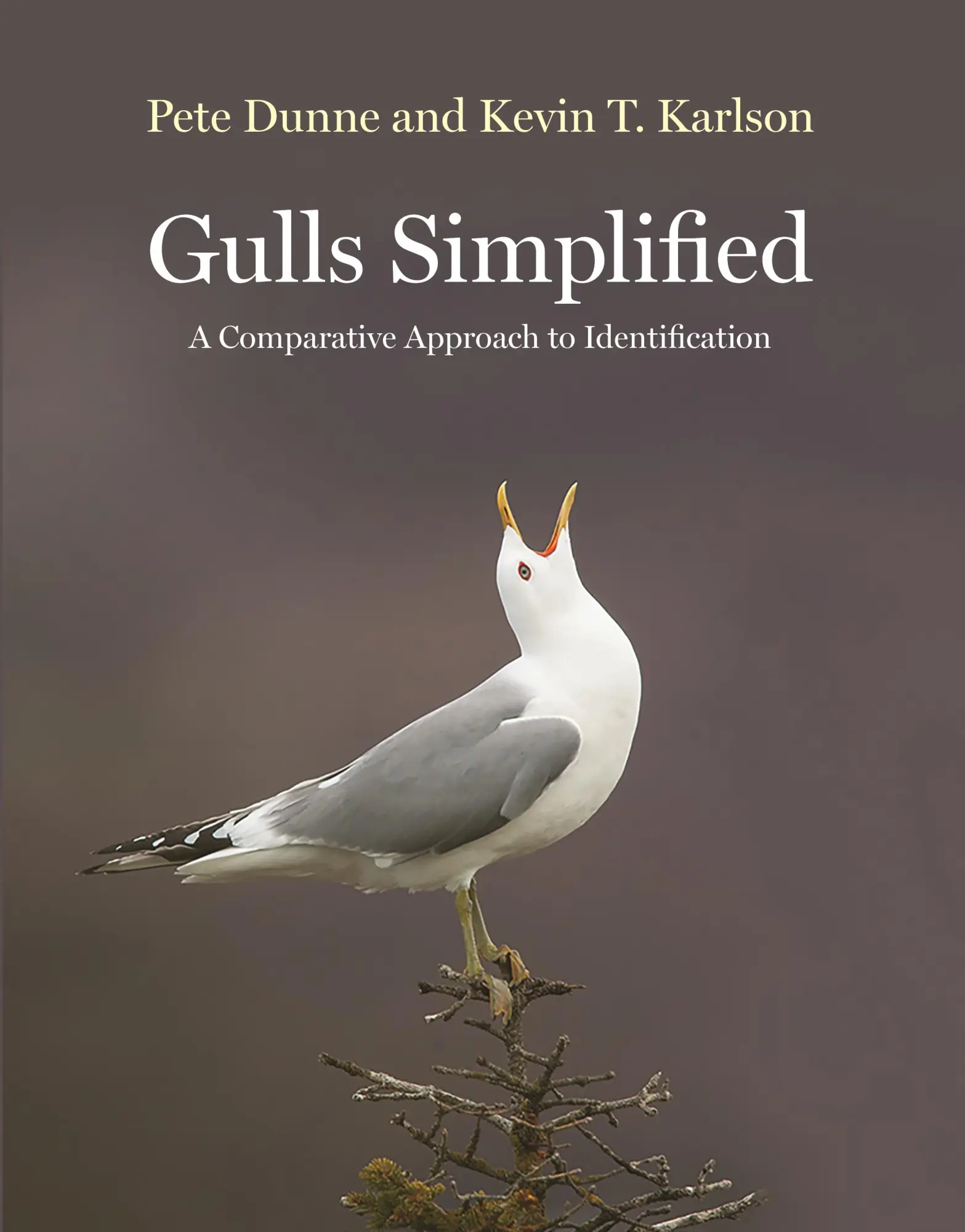 Cover: 9780691156941 | Gulls Simplified | A Comparative Approach to Identification | Buch