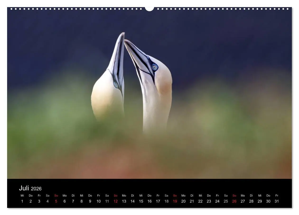 Bild: 9783516166941 | Helgoland (hochwertiger Premium Wandkalender 2026 DIN A2 quer),...