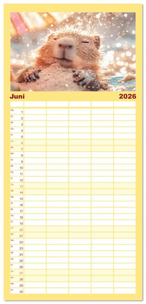 Bild: 9783516616941 | Familienplaner 2026 - Capybara Zeit mit 5 Spalten (Wandkalender, 21...