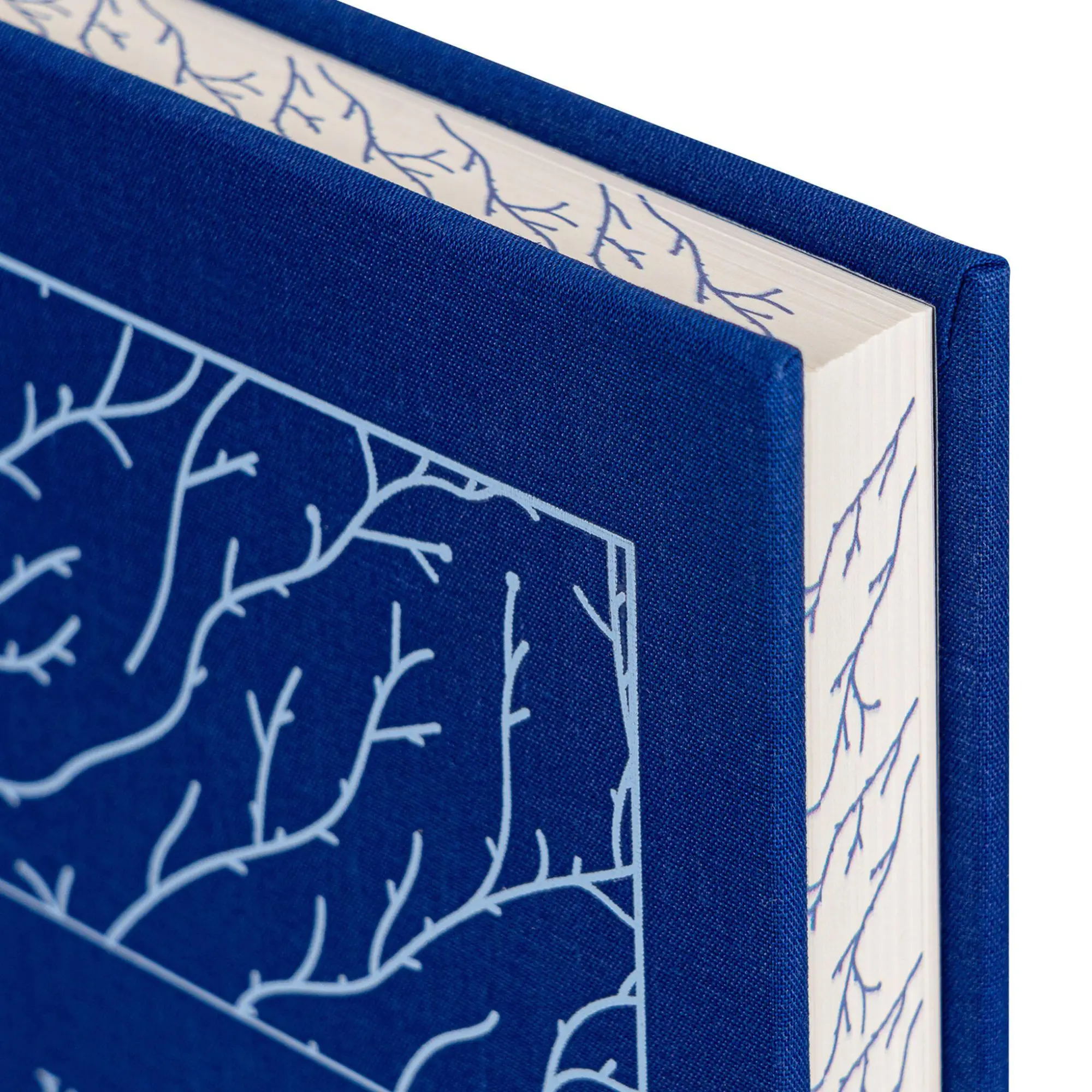 Bild: 9781454957041 | Wuthering Heights. Signature Clothbound Edition | Emily Brontë | Buch