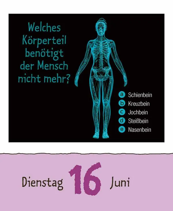 Bild: 9783731887041 | Vorsicht Geheimwissen 2026 | Verlag Korsch | Kalender | 328 S. | 2026