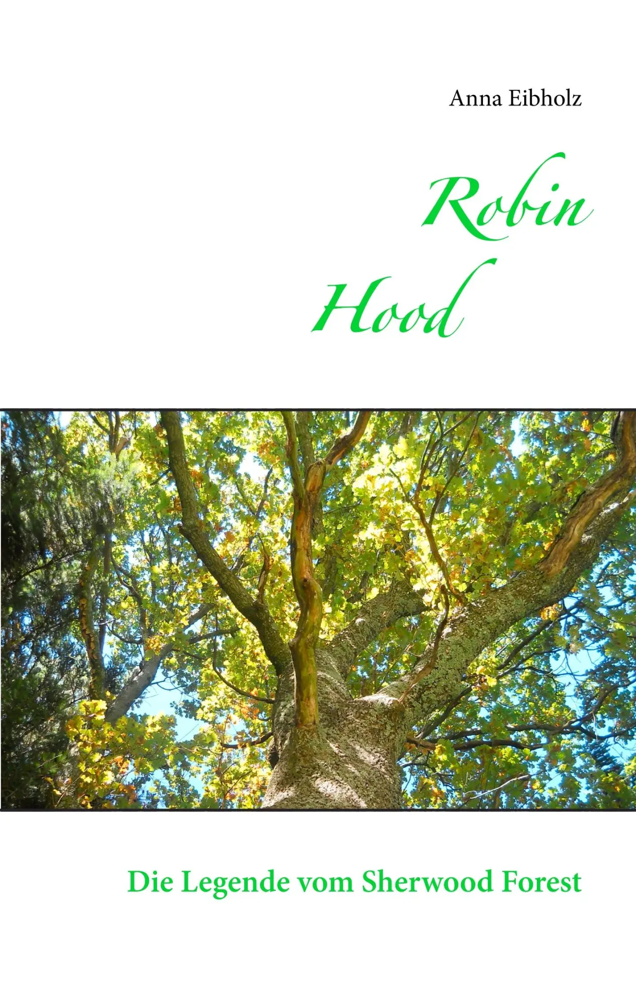 Cover: 9783748197041 | Robin Hood | Die Legende aus dem Sherwood Forest | Anna Eibholz | Buch