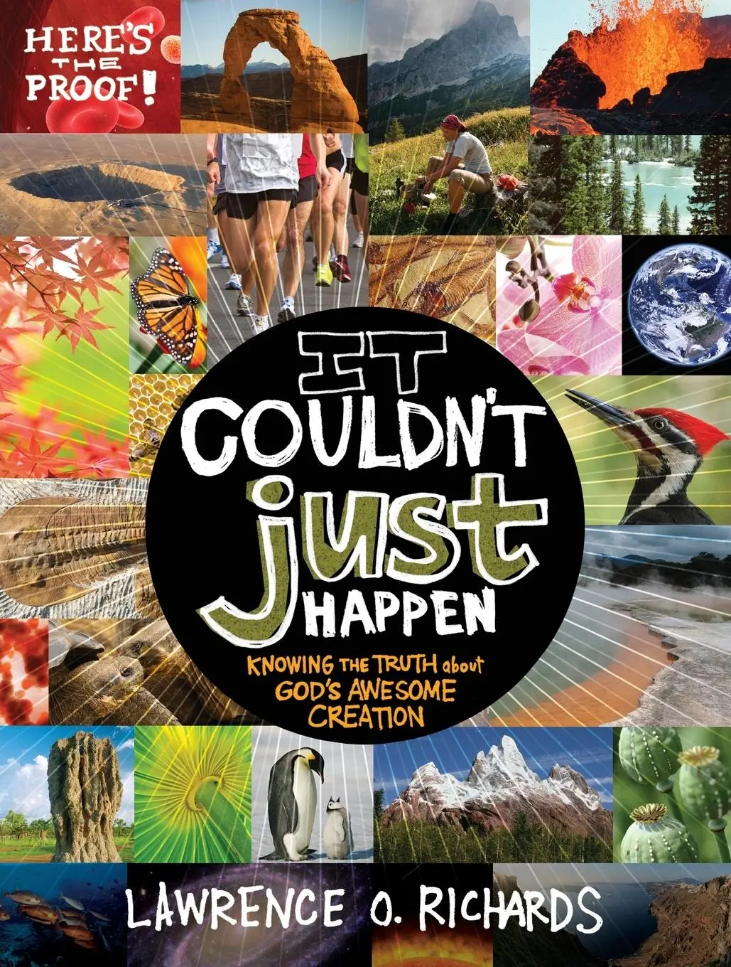 Cover: 9781400317141 | It Couldn't Just Happen Softcover | Lawrence Richards | Taschenbuch