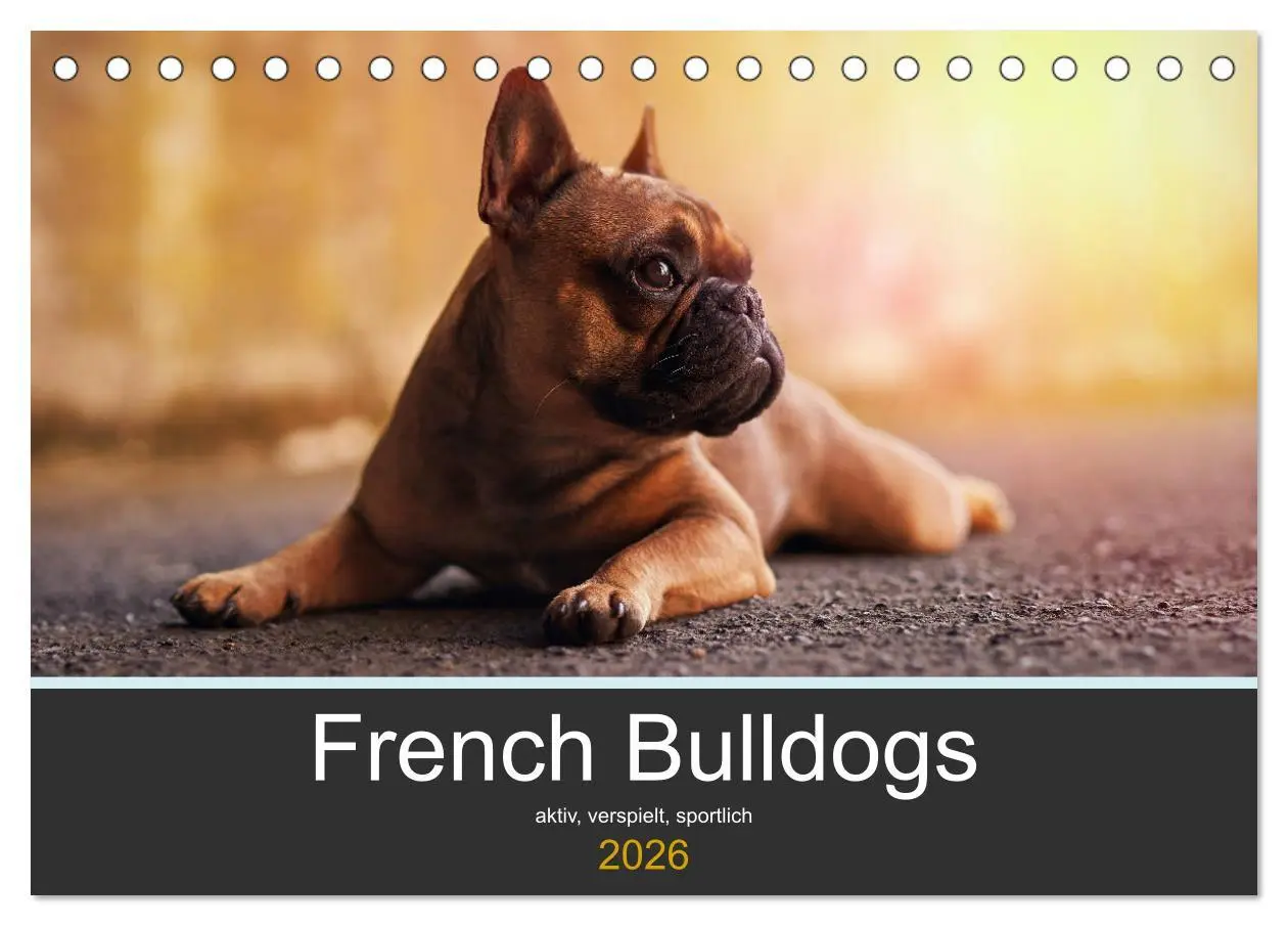 Cover: 9783457717141 | French Bulldog aktiv, verspielt, sportlich (Tischkalender 2026 DIN...