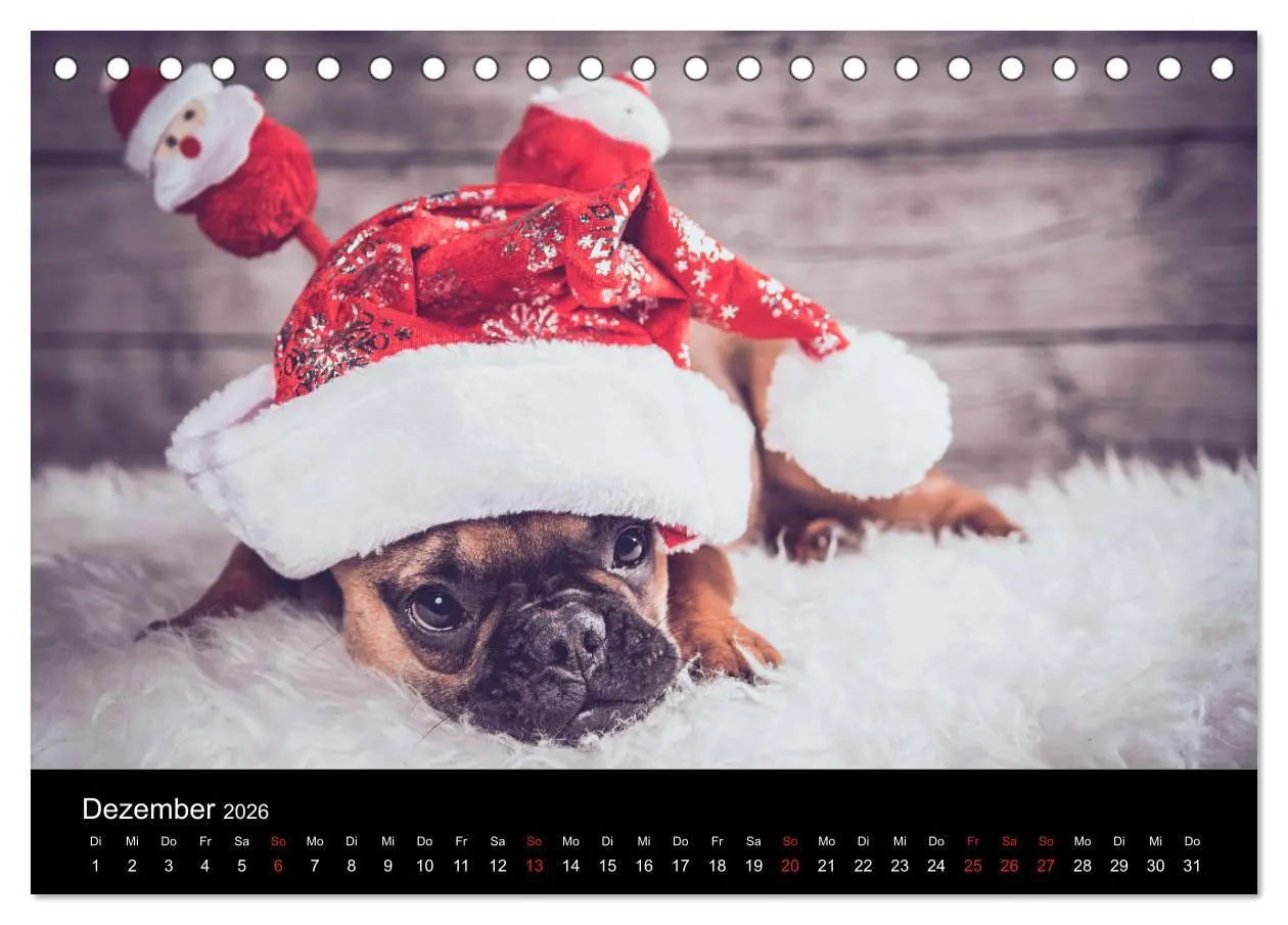 Bild: 9783457717141 | French Bulldog aktiv, verspielt, sportlich (Tischkalender 2026 DIN...