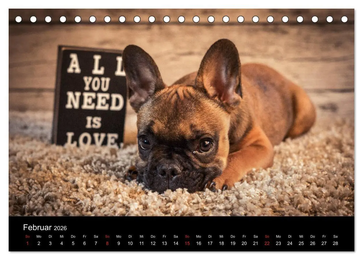 Bild: 9783457717141 | French Bulldog aktiv, verspielt, sportlich (Tischkalender 2026 DIN...