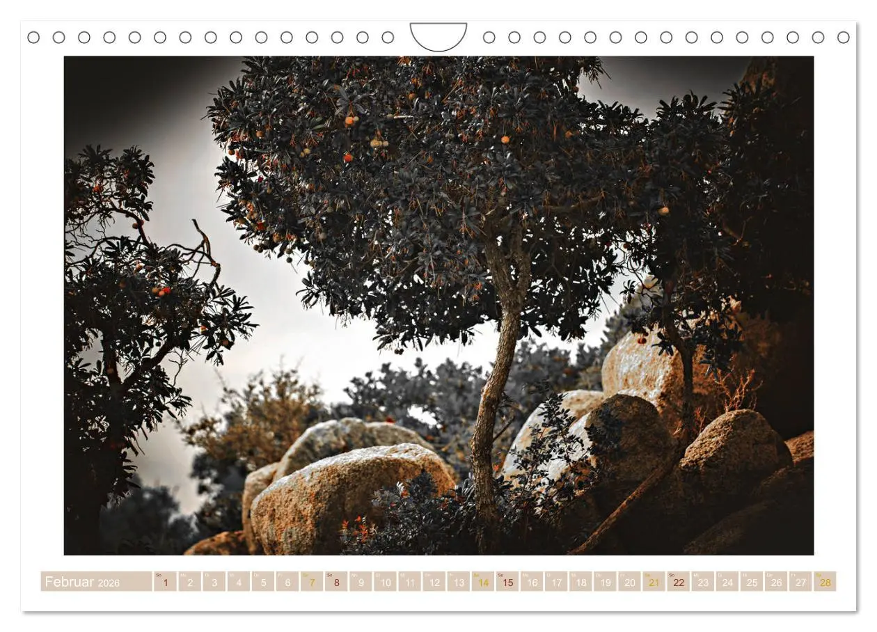 Bild: 9783457887141 | Sardinien Impressionen (Wandkalender 2026 DIN A4 quer), CALVENDO...