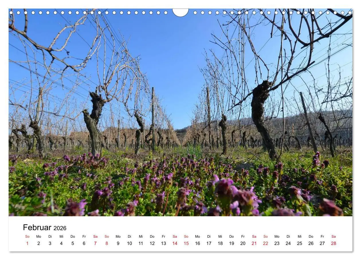 Bild: 9783516047141 | Impressionen vom Kaiserstuhl (Wandkalender 2026 DIN A3 quer),...