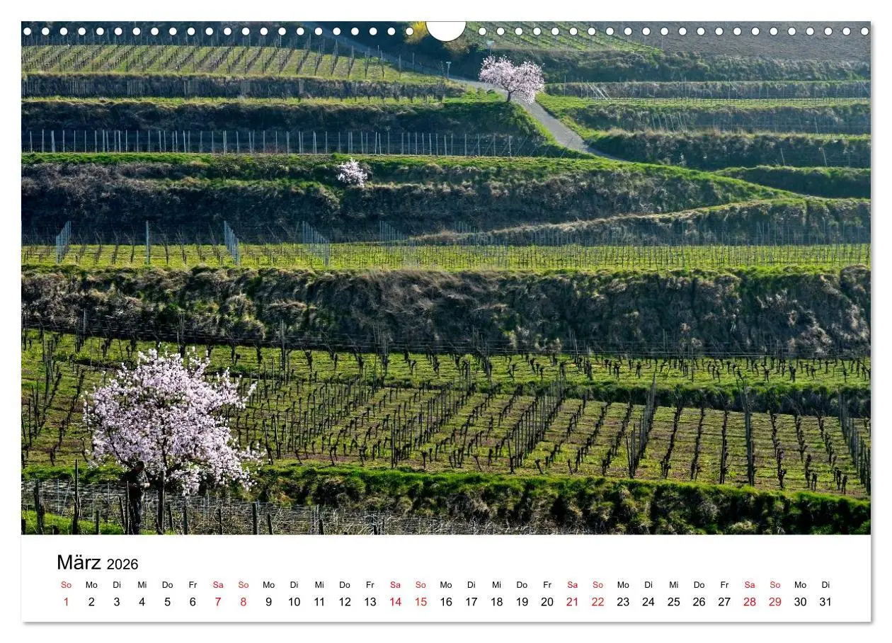 Bild: 9783516047141 | Impressionen vom Kaiserstuhl (Wandkalender 2026 DIN A3 quer),...