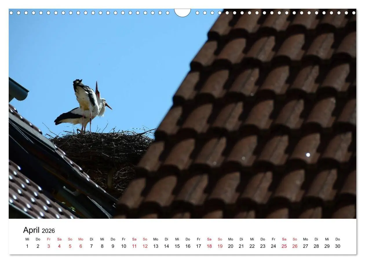 Bild: 9783516047141 | Impressionen vom Kaiserstuhl (Wandkalender 2026 DIN A3 quer),...
