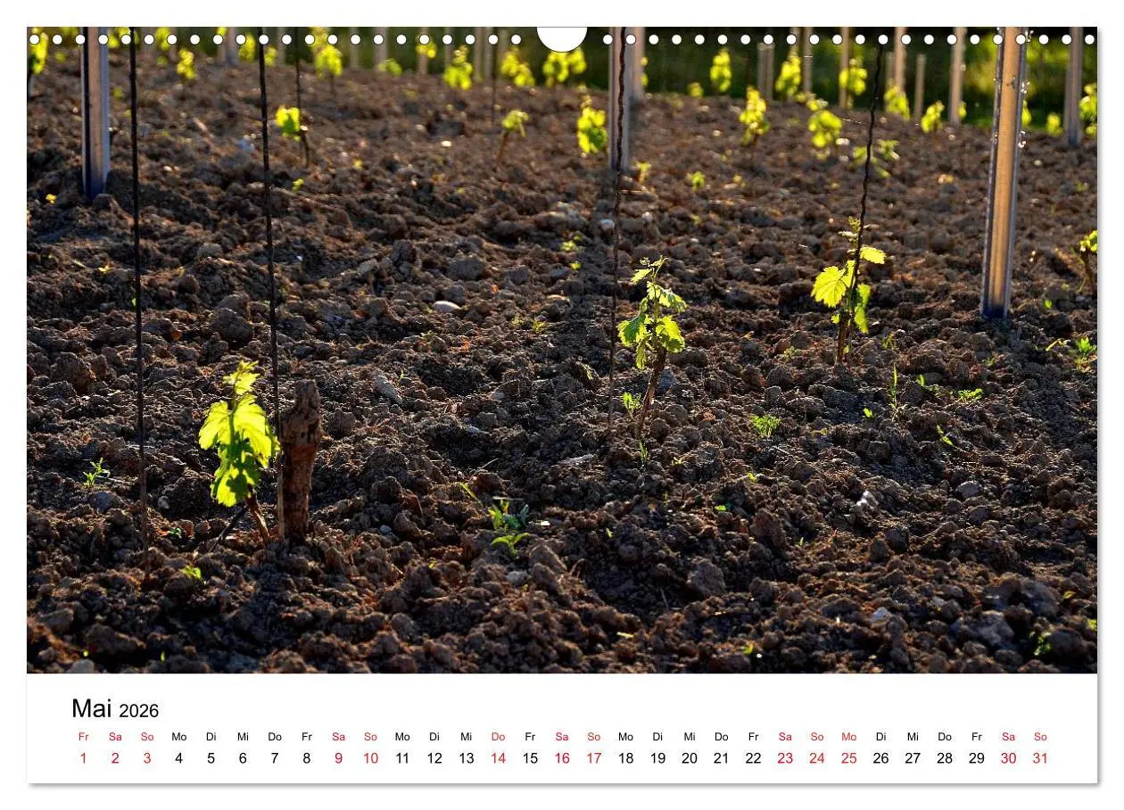Bild: 9783516047141 | Impressionen vom Kaiserstuhl (Wandkalender 2026 DIN A3 quer),...