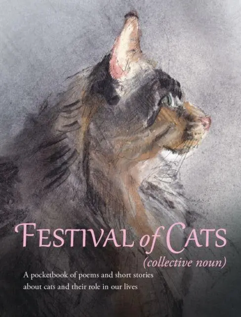Cover: 9781915067241 | Festival of Cats | Amaris Chase (u. a.) | Taschenbuch | Englisch