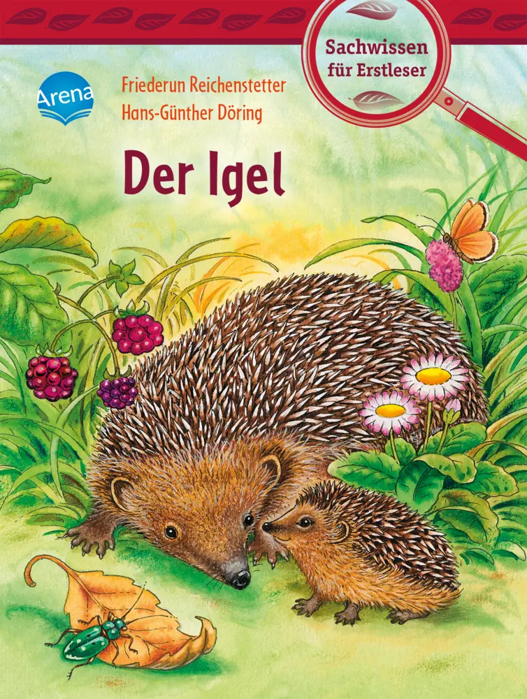 Cover: 9783401717241 | Der Igel | Friederun Reichenstetter | Buch | 40 S. | Deutsch | 2020