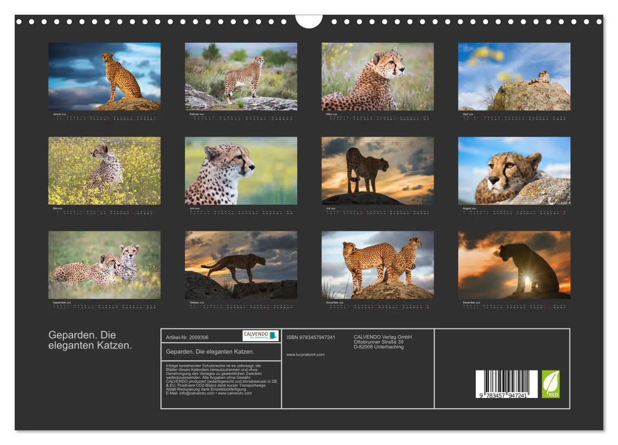 Bild: 9783457947241 | Geparden. Die eleganten Katzen. (Wandkalender 2026 DIN A3 quer),...