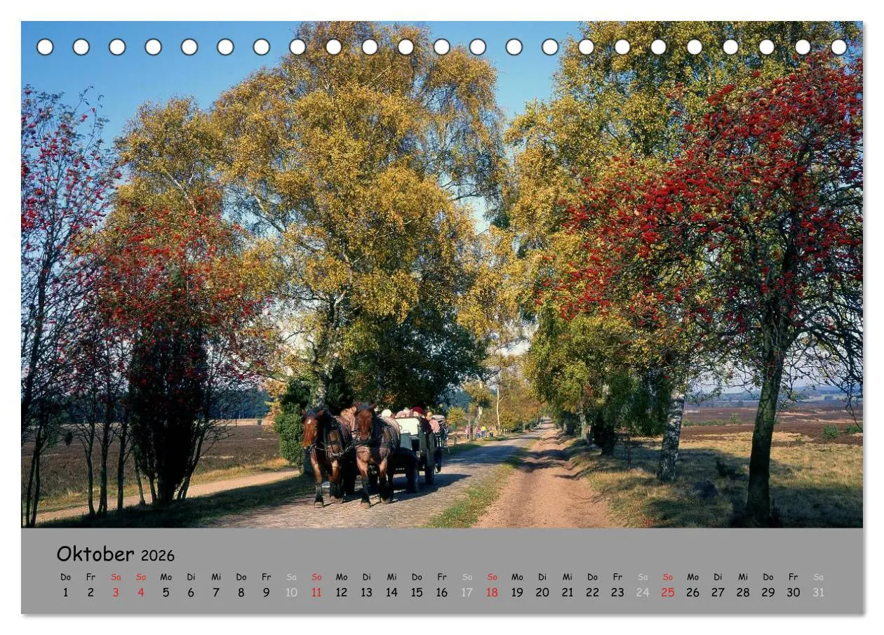 Bild: 9783516107241 | Lüneburger Heide - schön zu jeder Jahreszeit (Tischkalender 2026...