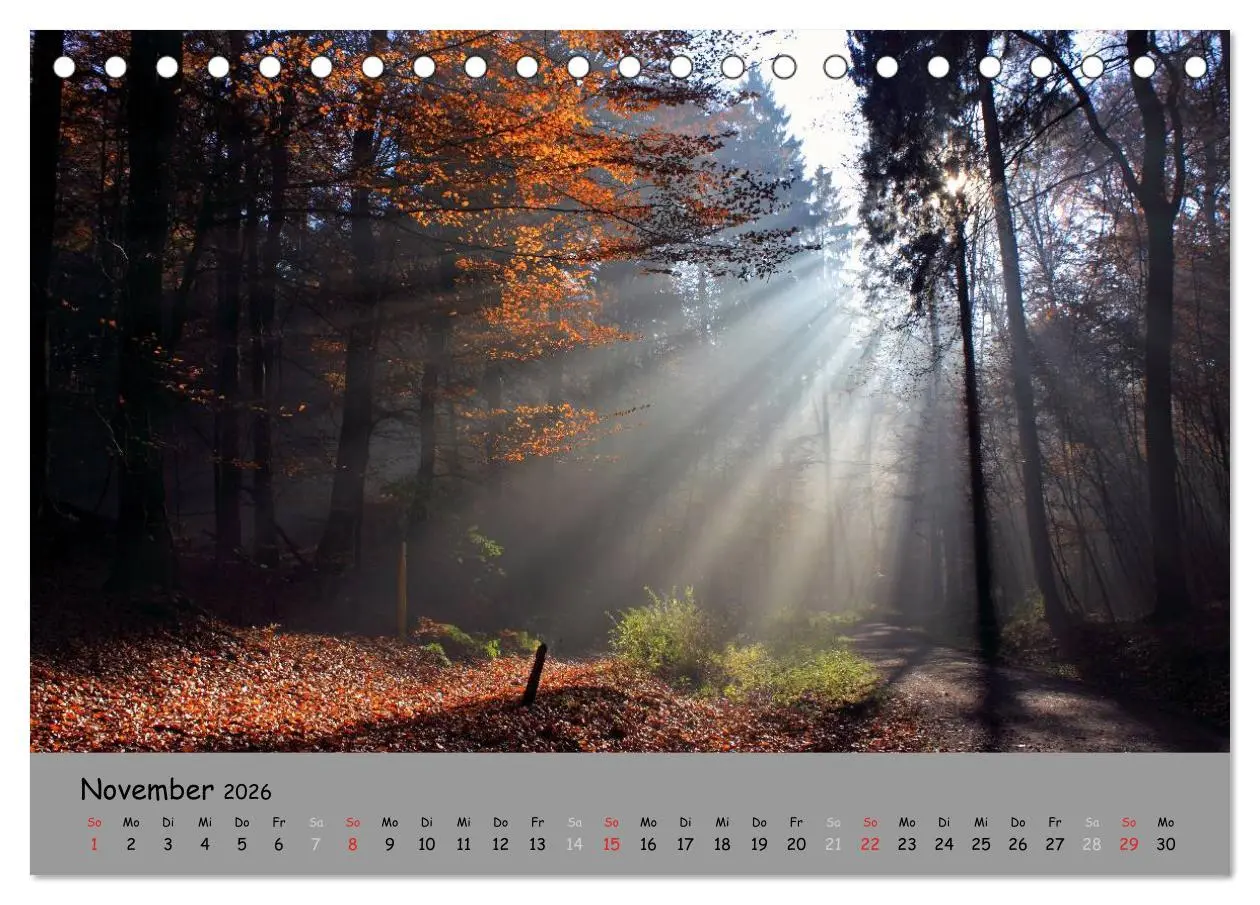 Bild: 9783516107241 | Lüneburger Heide - schön zu jeder Jahreszeit (Tischkalender 2026...