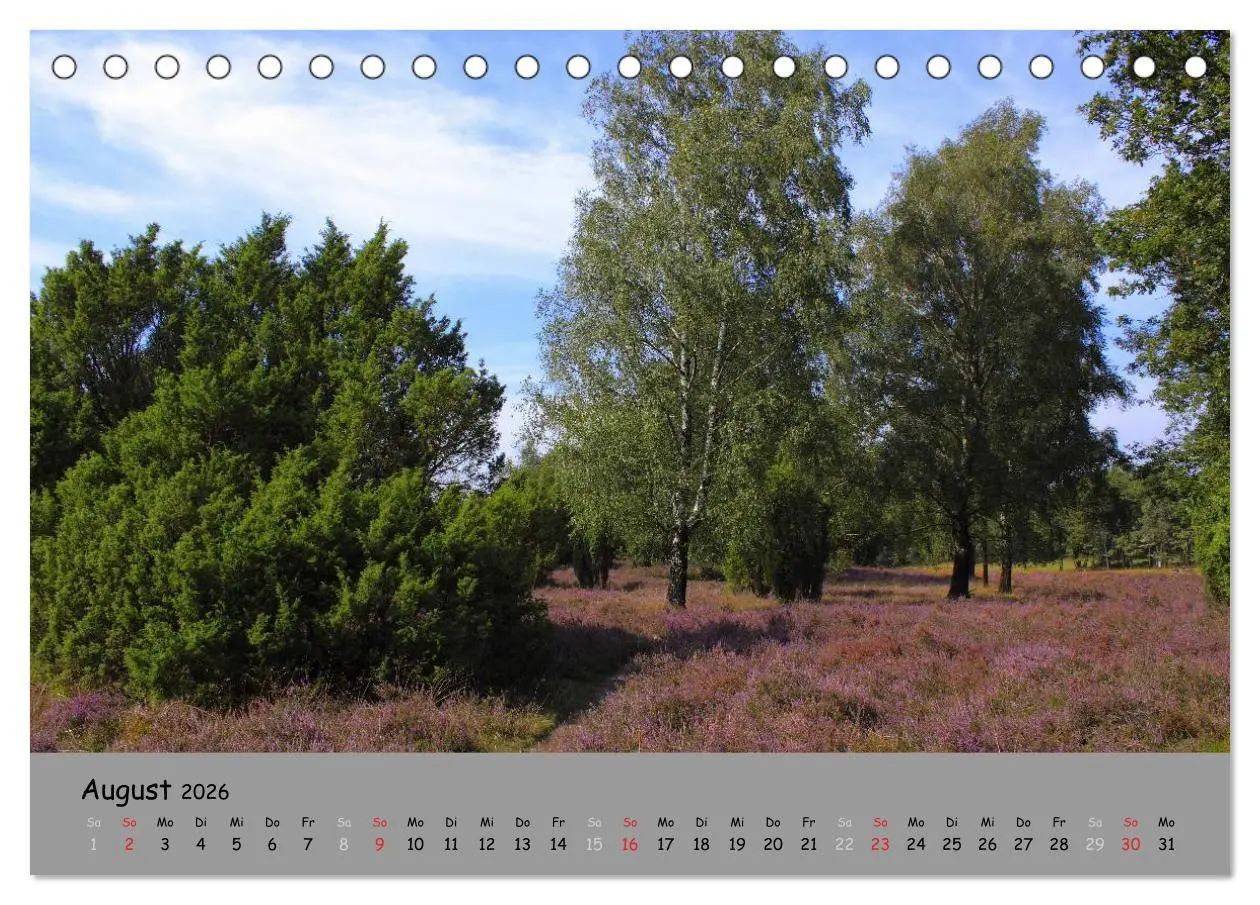 Bild: 9783516107241 | Lüneburger Heide - schön zu jeder Jahreszeit (Tischkalender 2026...