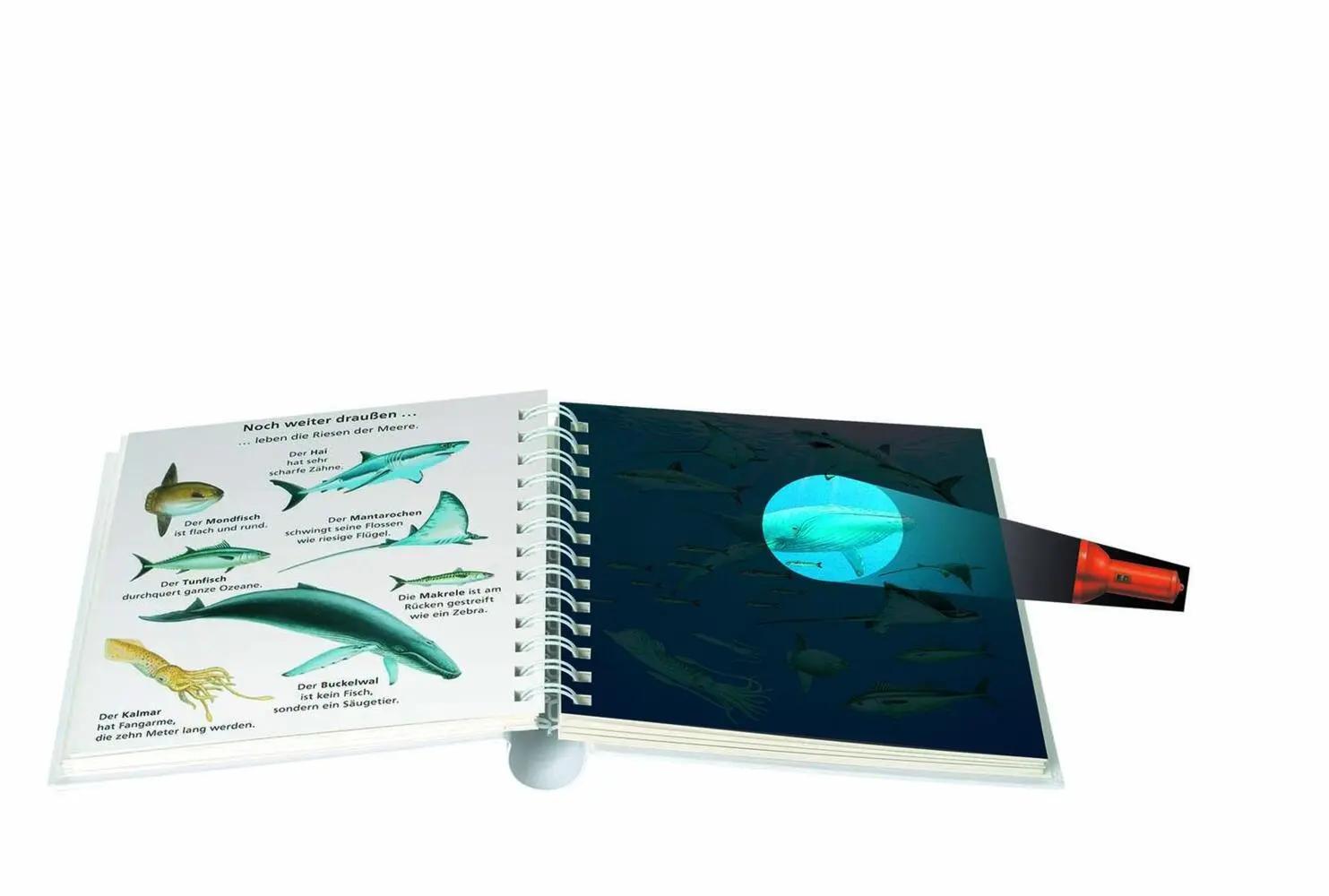 Bild: 9783737357241 | Tief im Meer | Licht an! | Buch | Unzerreissbar | 24 S. | Deutsch