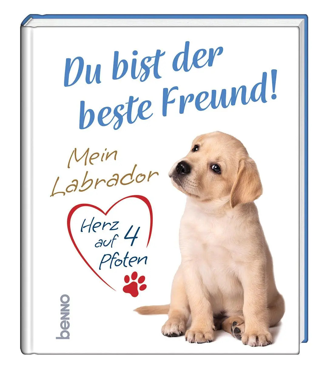 Cover: 9783746267241 | Du bist der beste Freund! | Mein Labrador - Herz auf 4 Pfoten | Buch