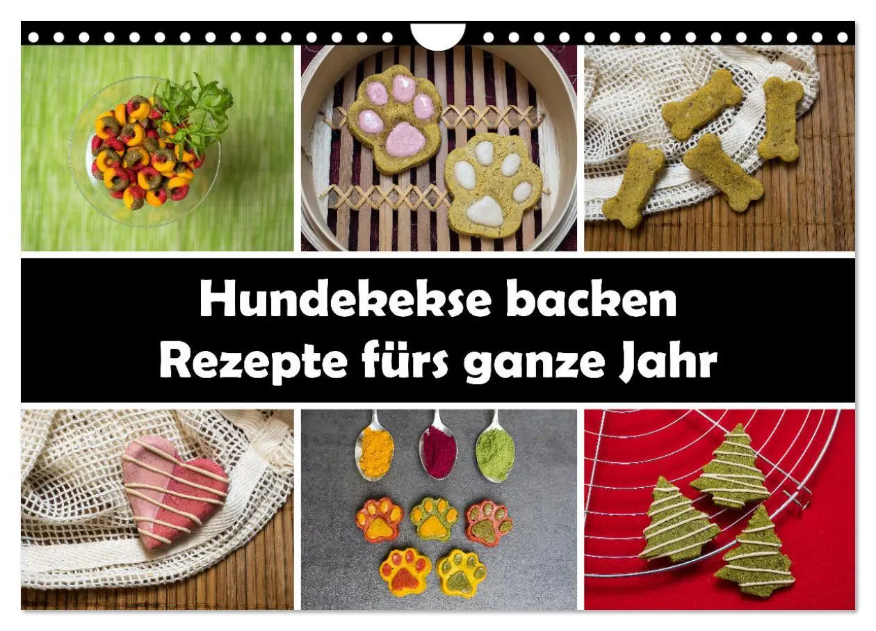 Cover: 9783435087341 | Hundekekse backen - Rezepte fürs ganze Jahr (Wandkalender 2025 DIN...