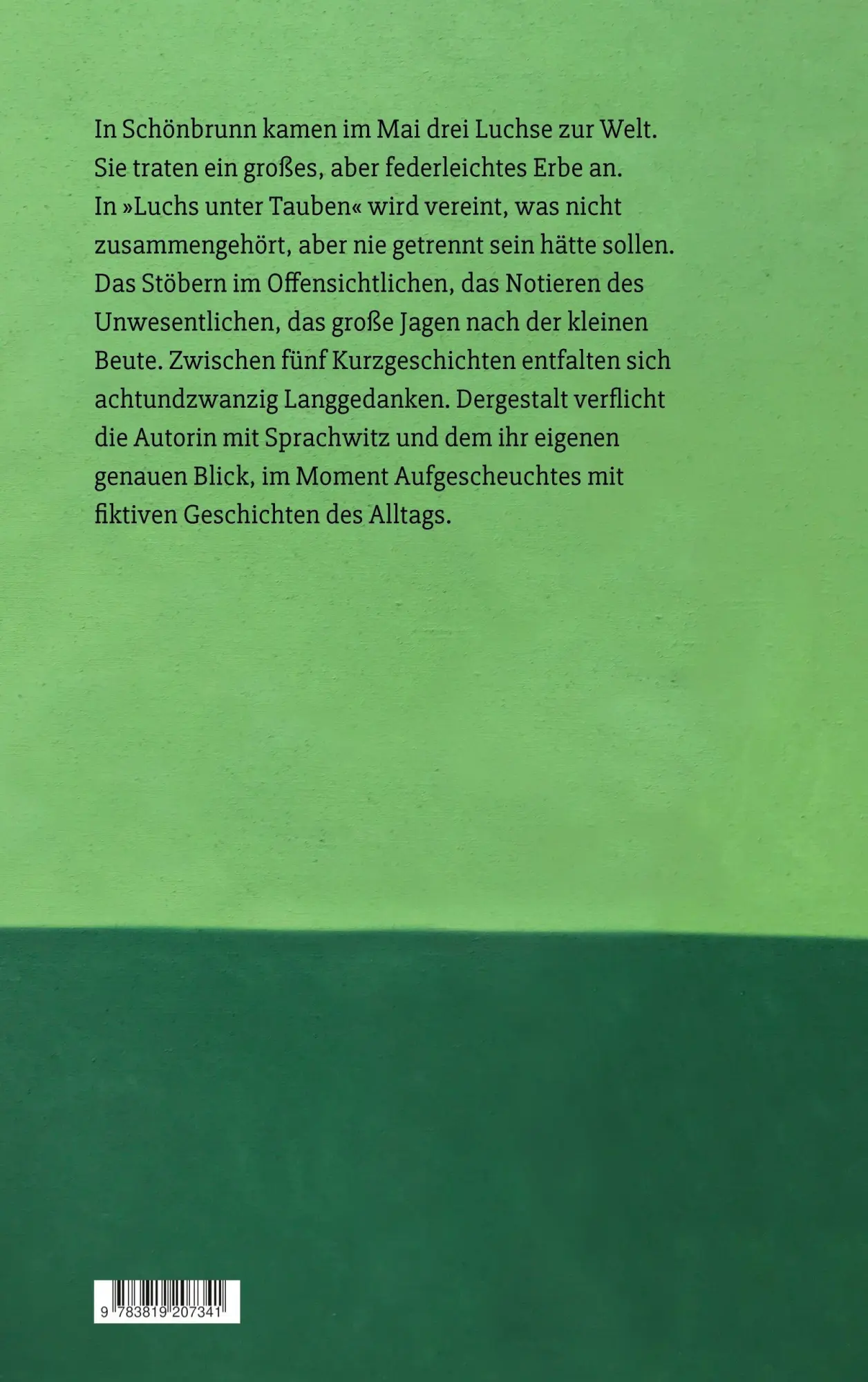 Rückseite: 9783819207341 | Luchs unter Tauben | Hedwig Breuer | Taschenbuch | 108 S. | Deutsch