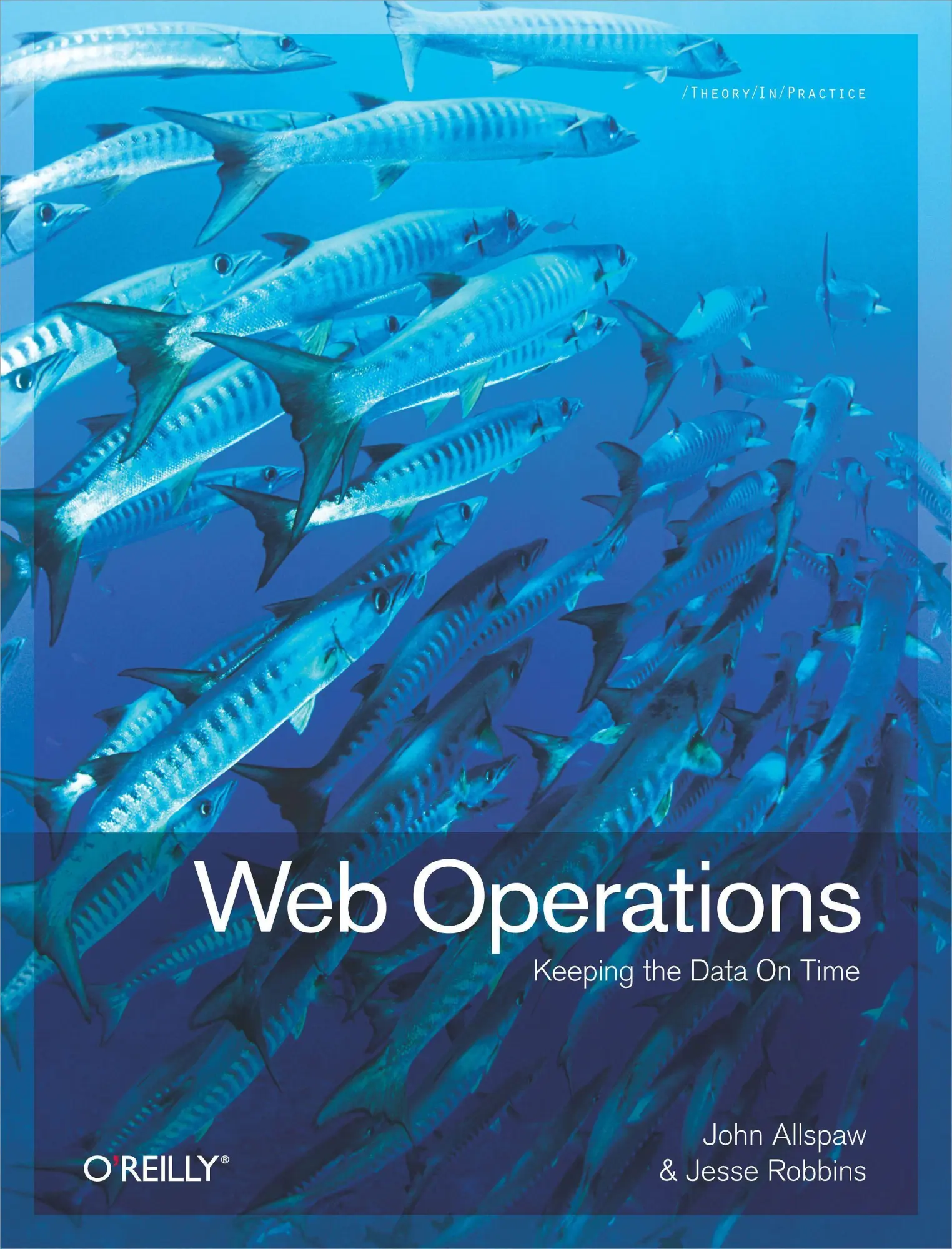 Cover: 9781449377441 | Web Operations | Keeping the Data on Time | John Allspaw (u. a.)