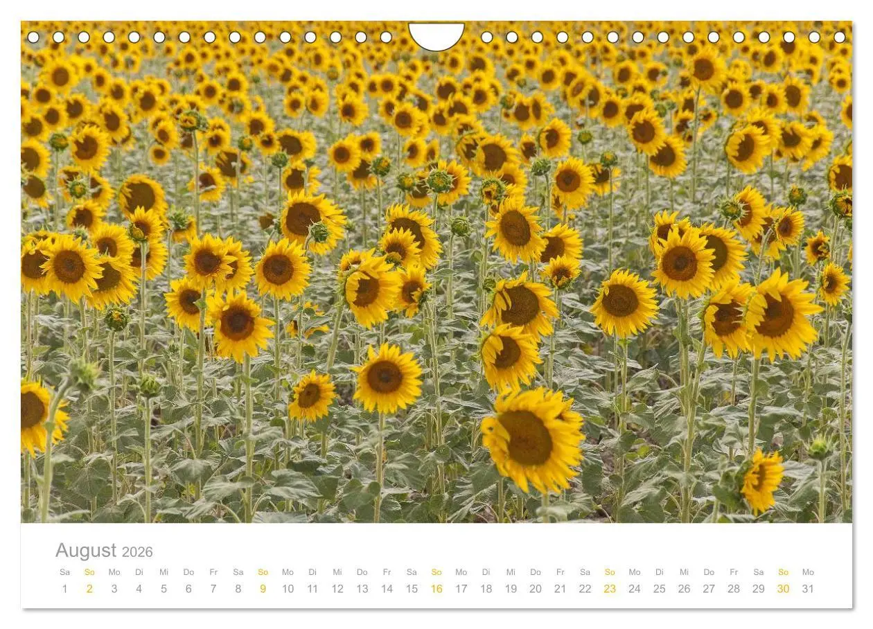 Bild: 9783516187441 | Provence: Malerisches Südfrankreich (Wandkalender 2026 DIN A4...