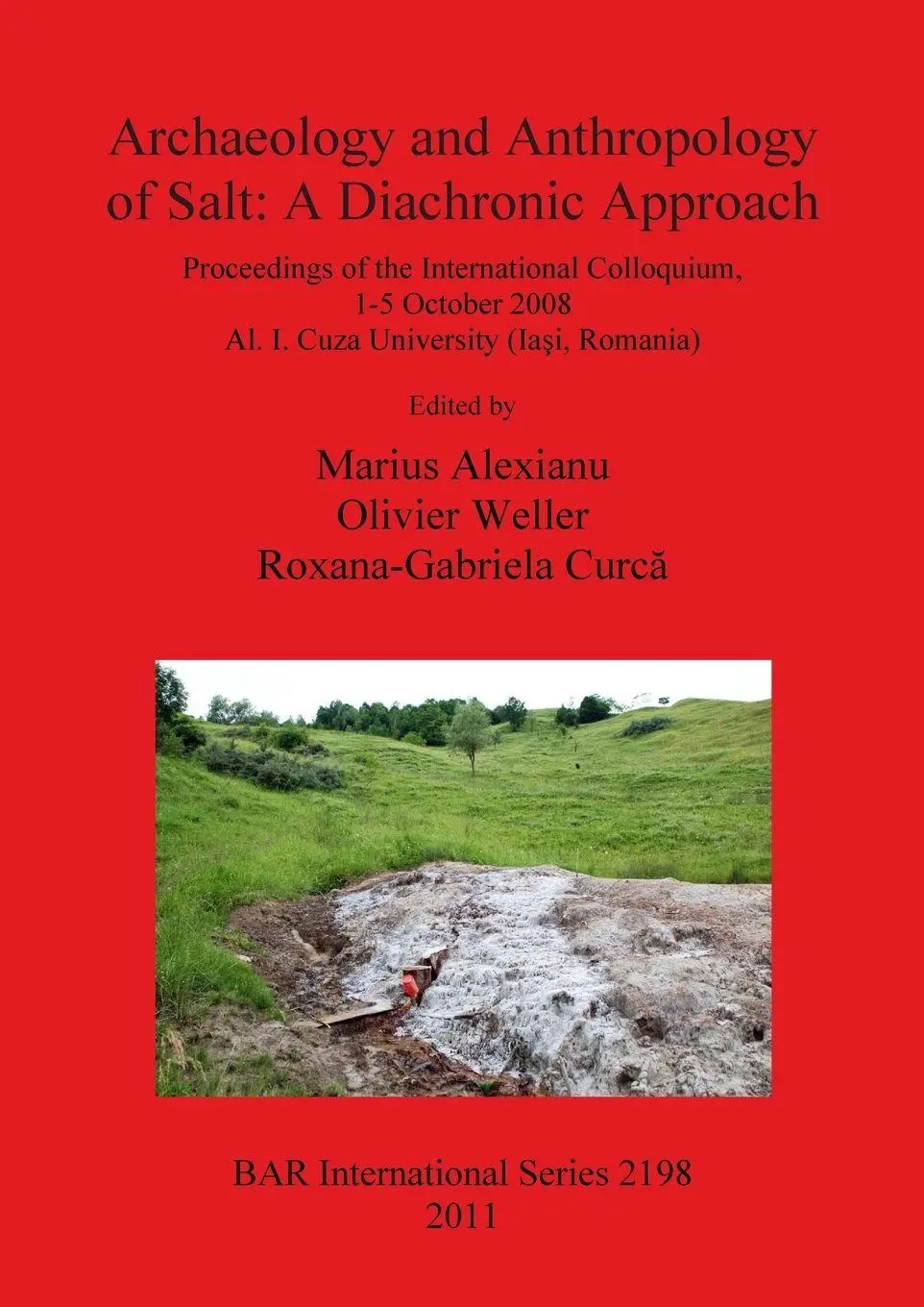 Cover: 9781407307541 | Archaeology and Anthropology of Salt | A Diachronic Approach | Buch