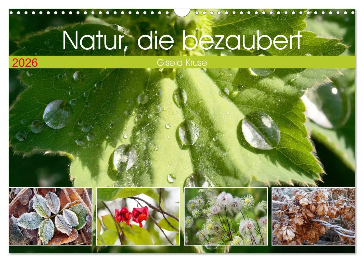 Cover: 9783457607541 | Natur, die bezaubert (Wandkalender 2026 DIN A3 quer), CALVENDO...