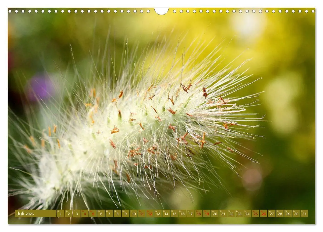 Bild: 9783457607541 | Natur, die bezaubert (Wandkalender 2026 DIN A3 quer), CALVENDO...