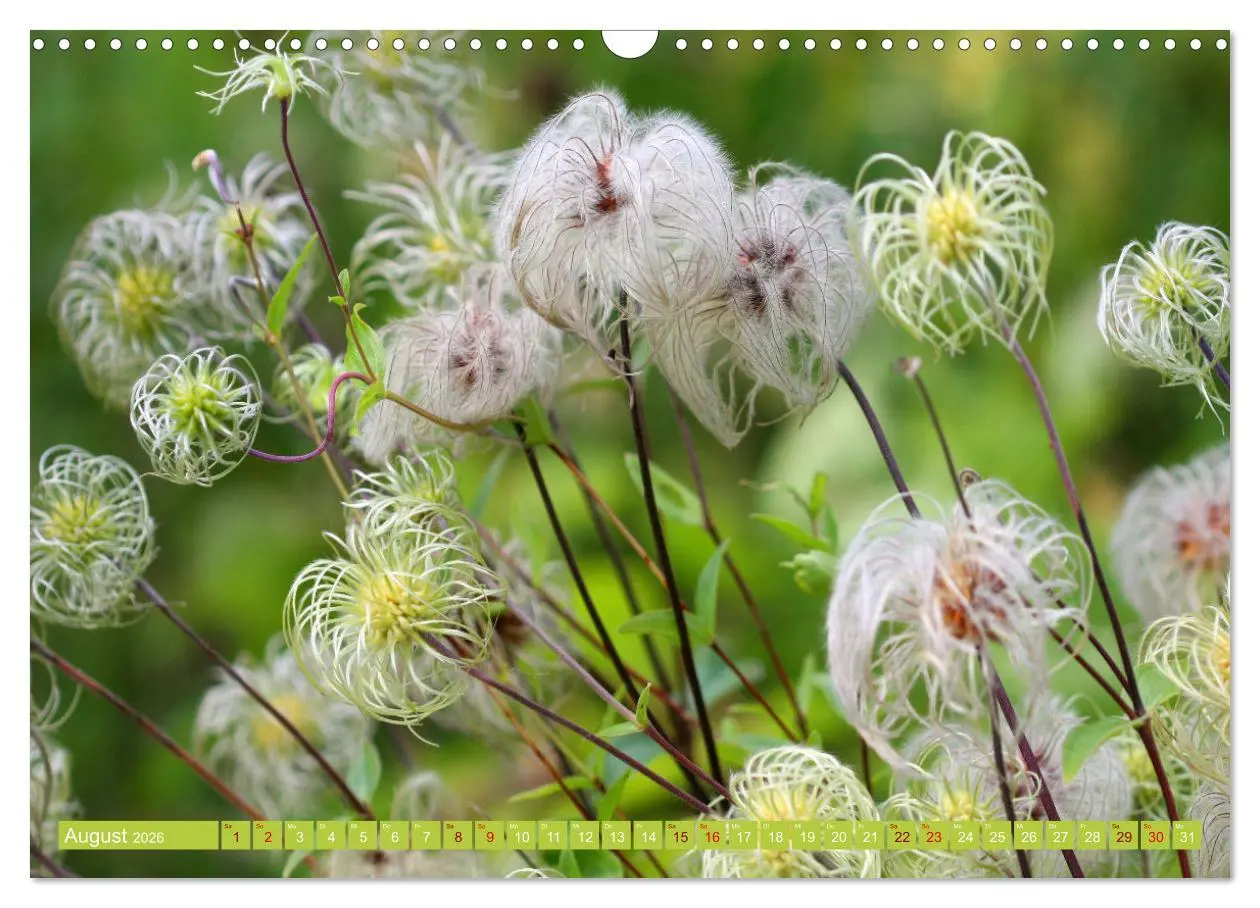 Bild: 9783457607541 | Natur, die bezaubert (Wandkalender 2026 DIN A3 quer), CALVENDO...