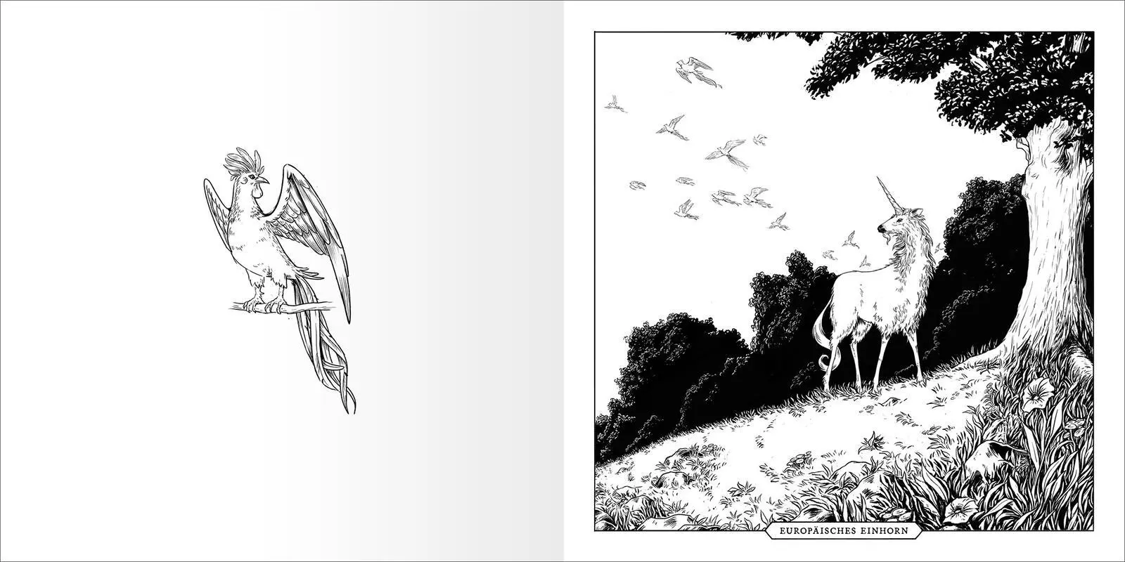 Bild: 4014489137641 | Das große Fabelwesen-Malbuch | Originale Illustrationen zum Ausmalen