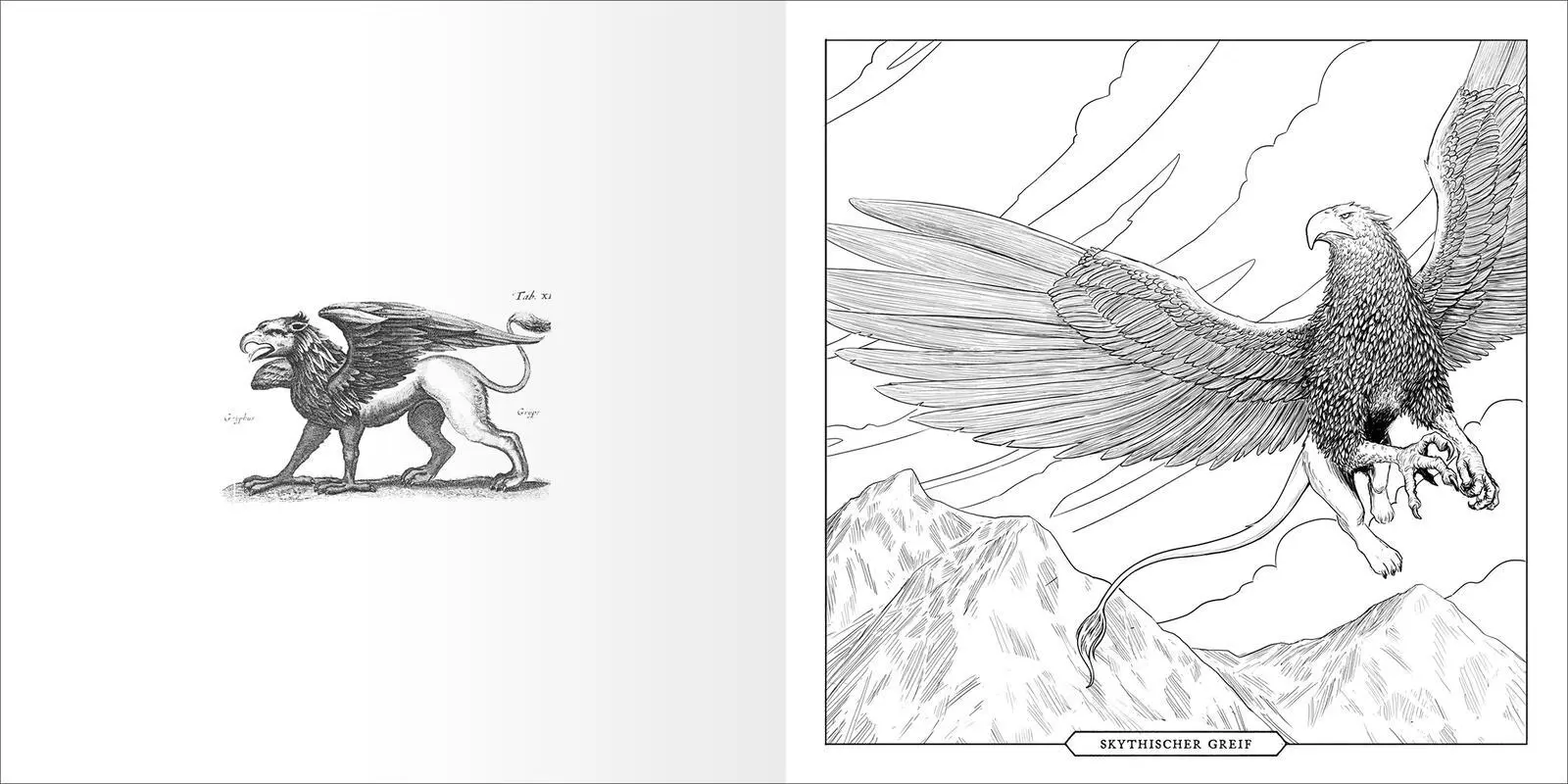 Bild: 4014489137641 | Das große Fabelwesen-Malbuch | Originale Illustrationen zum Ausmalen