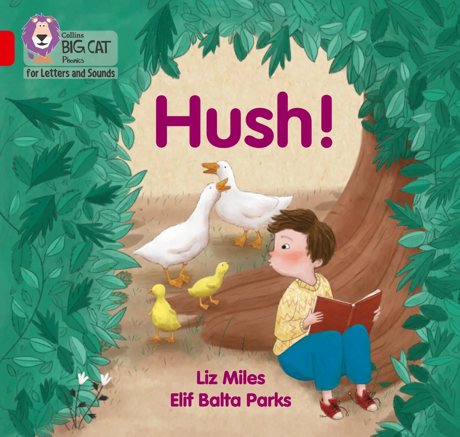 Cover: 9780008357641 | Hush! | Band 02a/Red a | Liz Miles | Taschenbuch | Englisch | 2020
