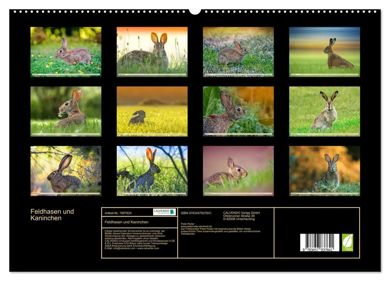 Bild: 9783457837641 | Feldhasen und Kaninchen (hochwertiger Premium Wandkalender 2026 DIN...