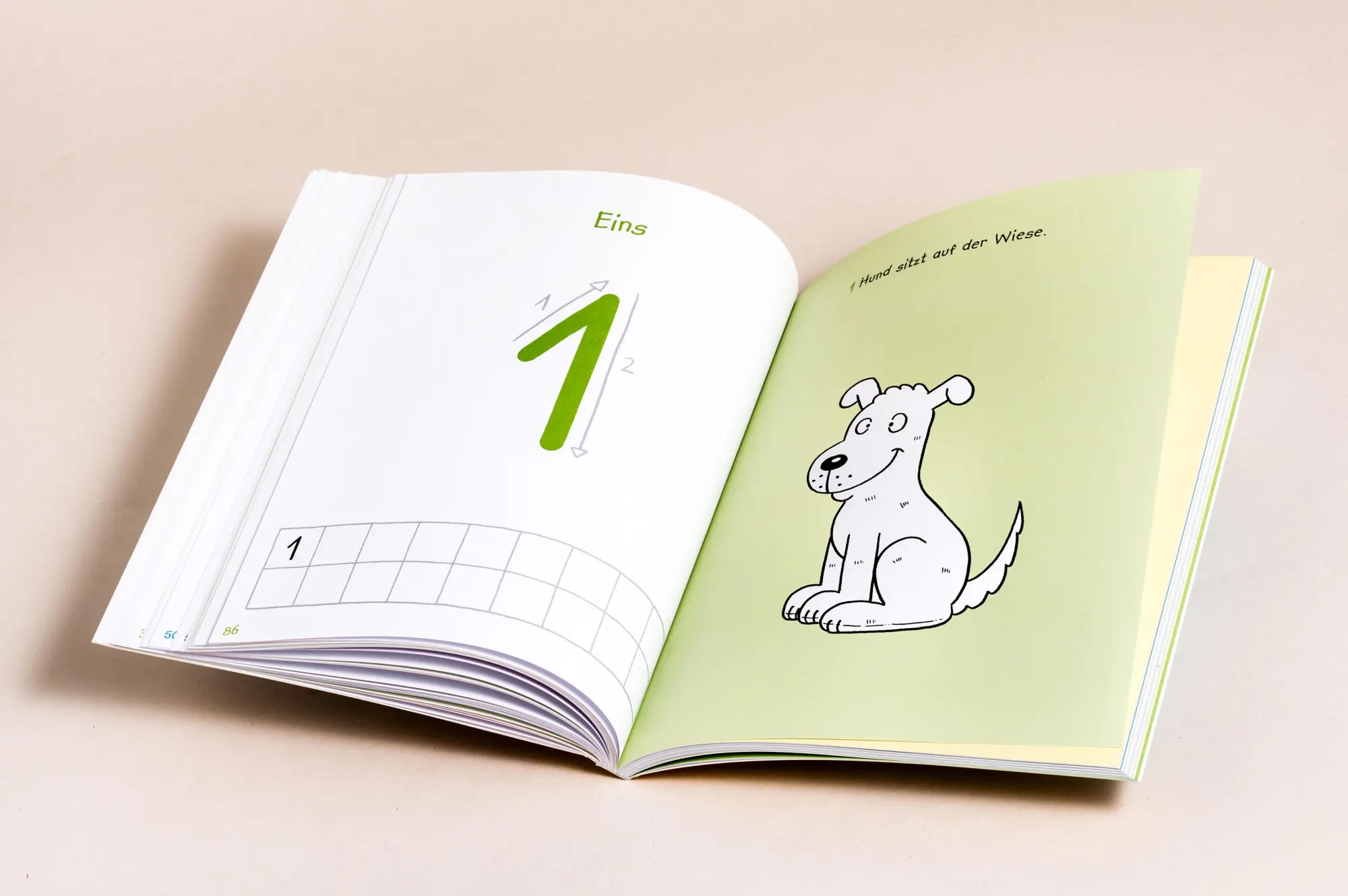 Bild: 9783809447641 | Mein kunterbuntes Buch der Buchstaben und Zahlen. Spielerisch das...