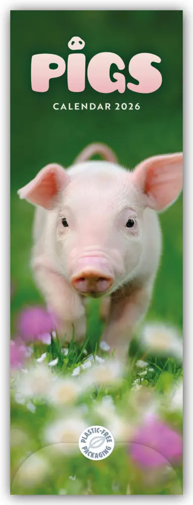 Cover: 9781529847741 | Pigs - Ferkel - Schweinchen 2026 - Slimline-Kalender | Calendar | 2026