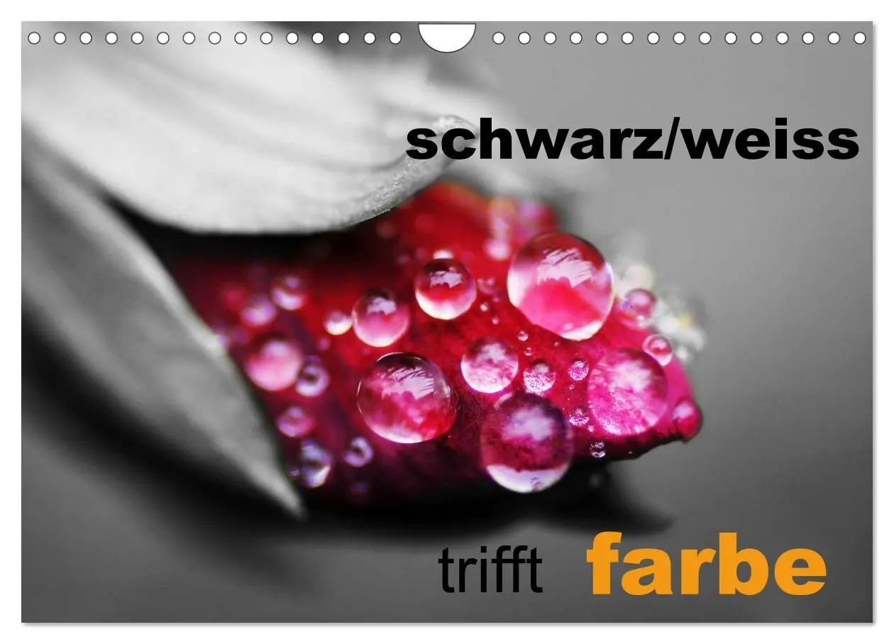 Cover: 9783516157741 | schwarz/weiß trifft farbe (Wandkalender 2026 DIN A4 quer), CALVENDO...
